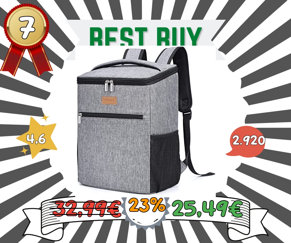 Lifewit 24 Litri Borsa Termica Porta Pranzo Borsa Frigo Isoterma per Alimenti Mantenere Caldo o Freddo per PIC-nic/All